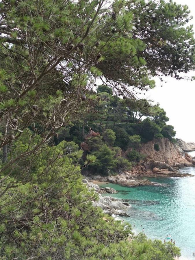 Cala Salions, Chalana II Apartman Tossa de Mar Kültér fotó